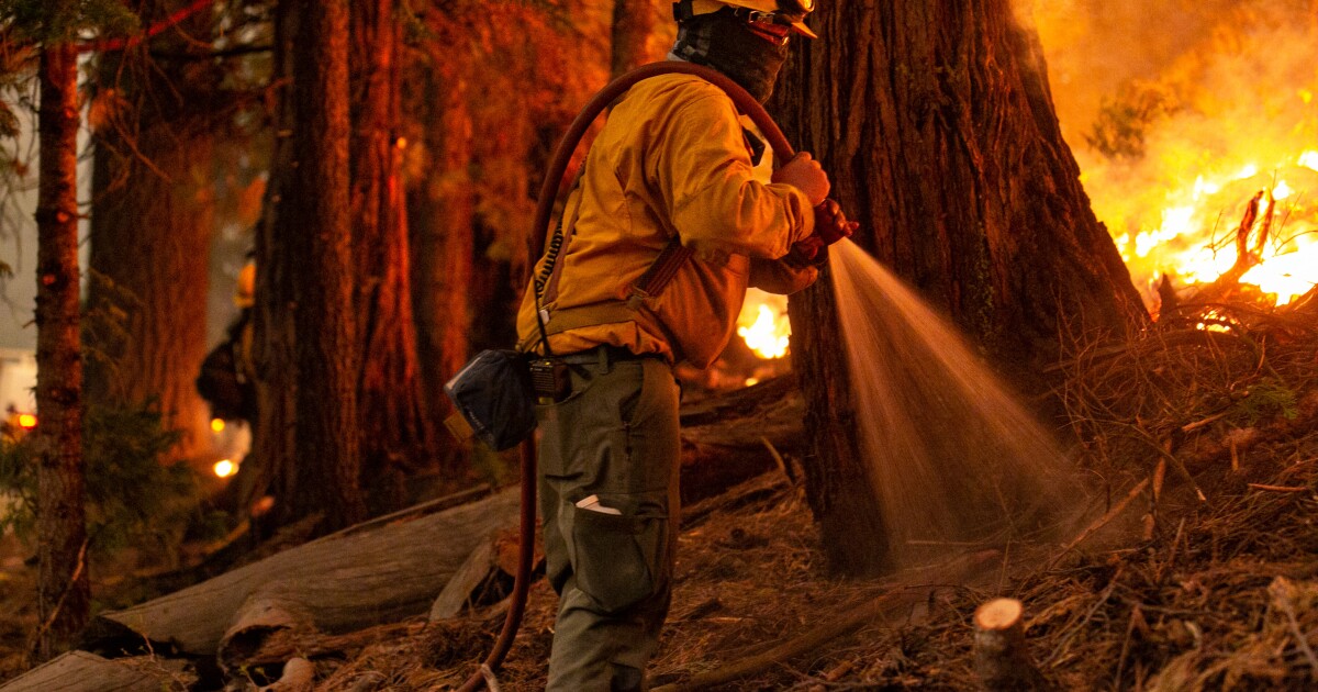 Newsom menandatangani undang-undang kebakaran yang membuka jalan untuk luka bakar yang lebih banyak diresepkan