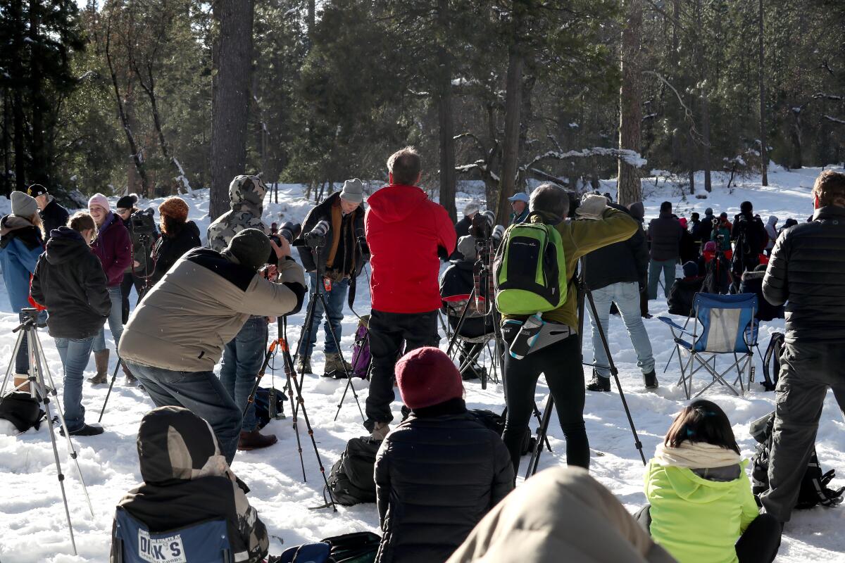A crowd of people with cameras and tripods in the snow