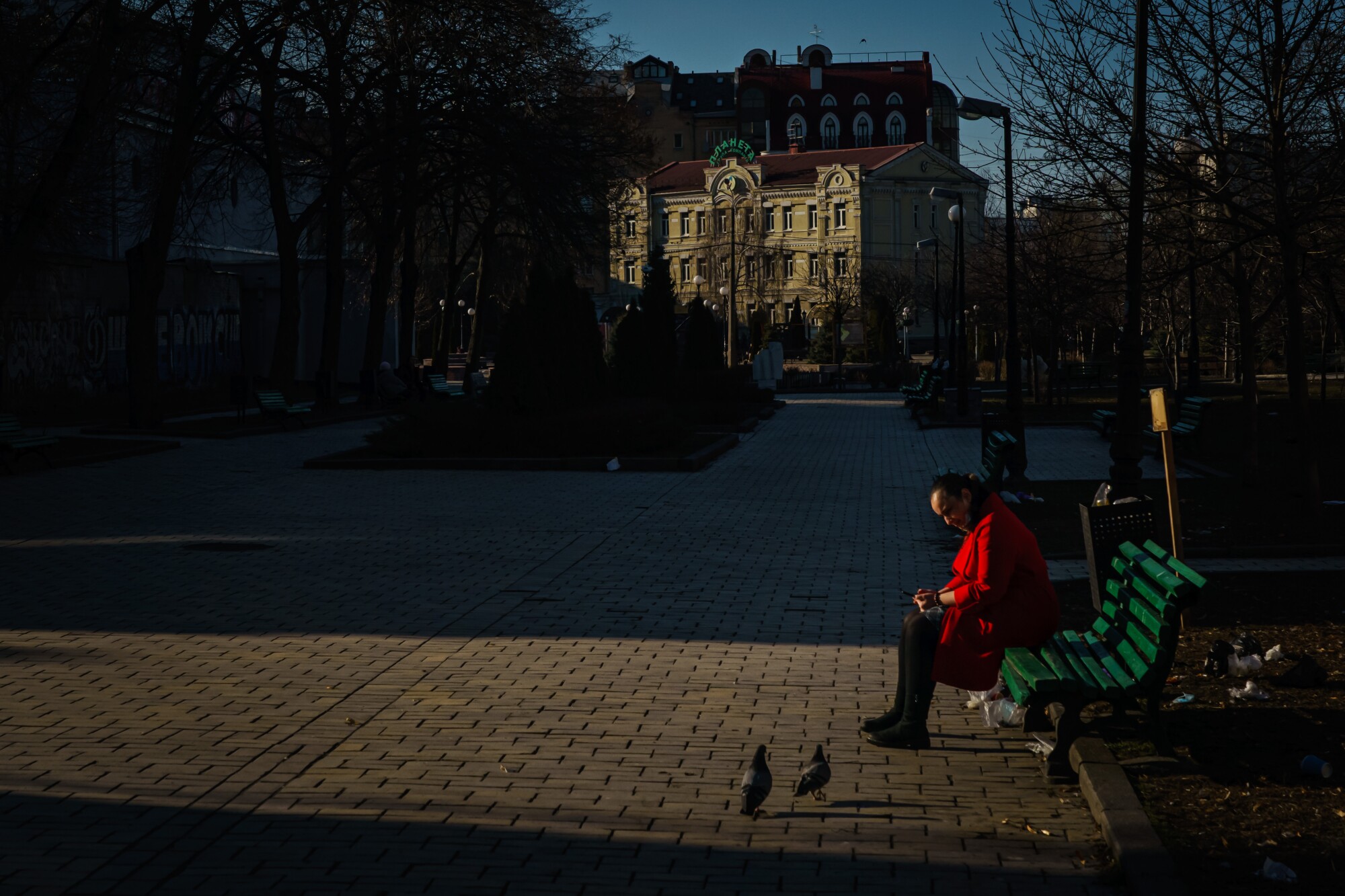 A woman on a park bench near birds
