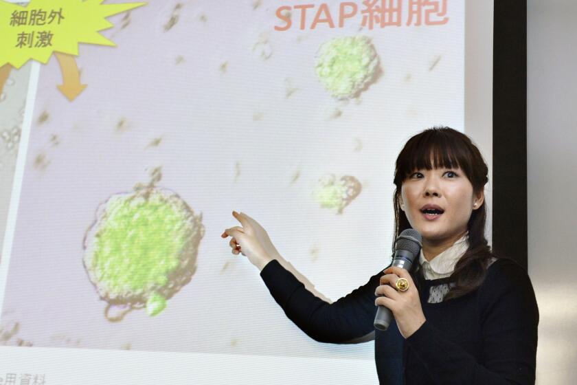 Haruko Obokata, the lead author of a now controversial stem cell paper, speaks about her research results during a news conference in Kobe, Japan.