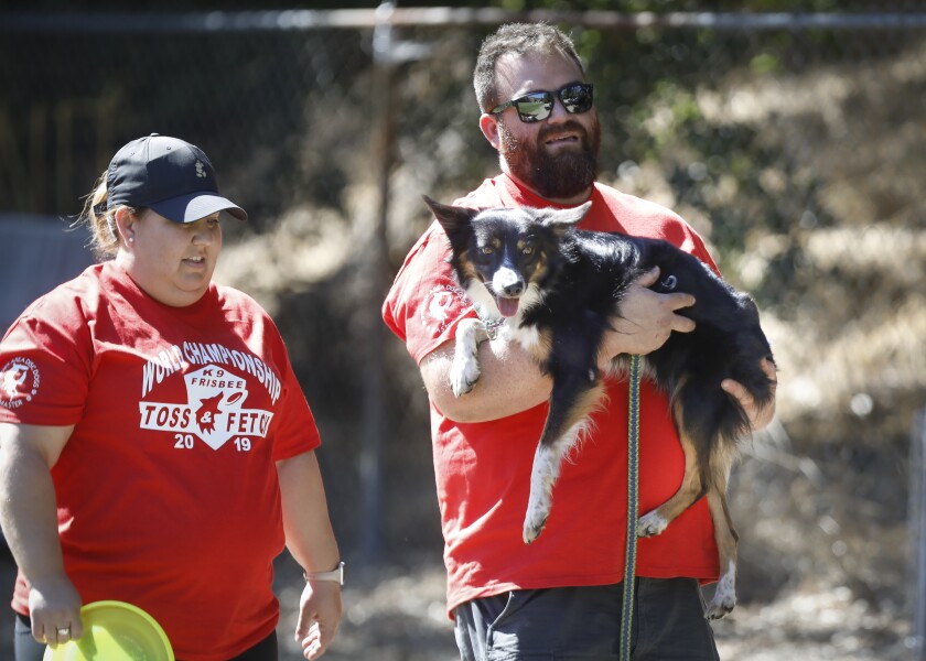 Frisbee Catching Dogs Compete For International Fame In Valley Center The San Diego Union Tribune frisbee catching dogs compete for