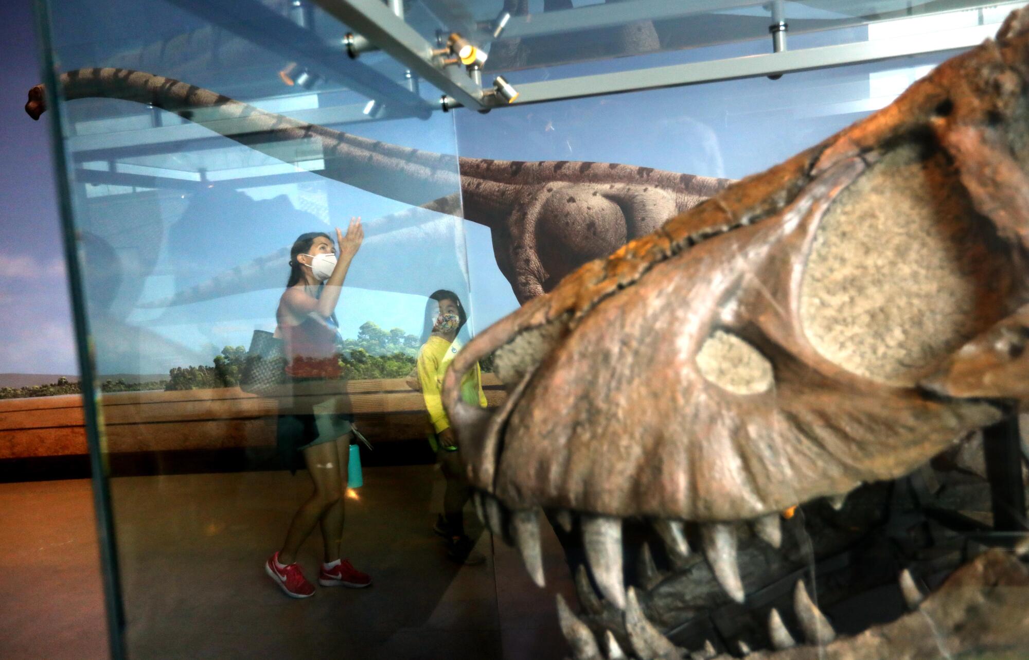 A woman and child are seen through the glass of a case that holds a massive dinosaur head with sharp teeth.