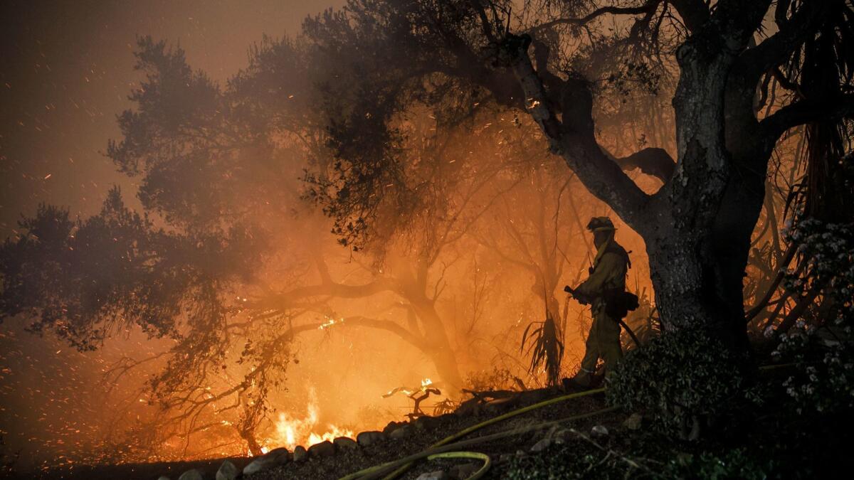 More than 1,000 structures were lost in the Thomas fire before it was fully contained on Jan. 12. Two people, including a state firefighter, were killed by the blaze.