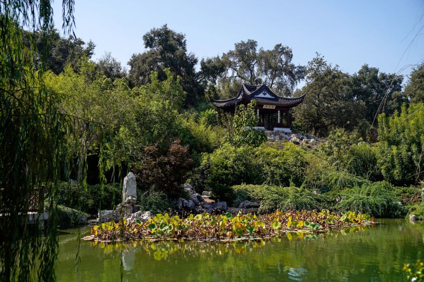 SAN MARINO, CA - SEPTEMBER 25: The Stargazing Tower is situated on the highest point in the garden at the southern end of the lake, at the Chinese Garden at The Huntington Library, Art Museum, and Botanical Gardens on Friday, Sept. 25, 2020 in San Marino, CA. (Kent Nishimura / Los Angeles Times)