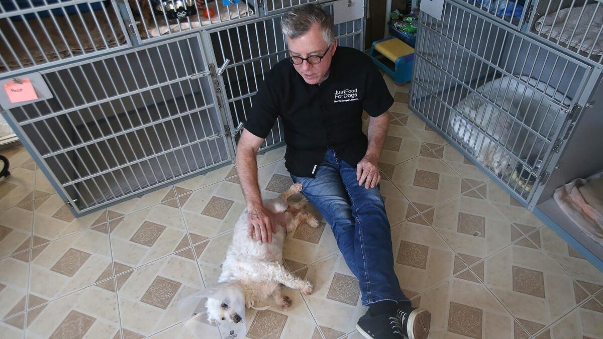 Shawn Buckley visits Willie, who is recovering from leg surgery at Home Free Animal Rescue & Sanctuary in Newport Beach.