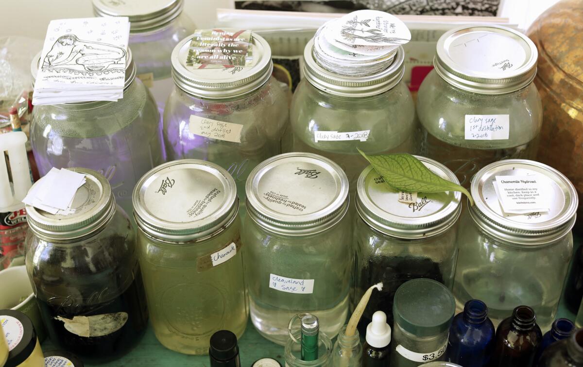 Collection of herbs and tinctures from Anabel Sanchez, also known as "Loba Loca."