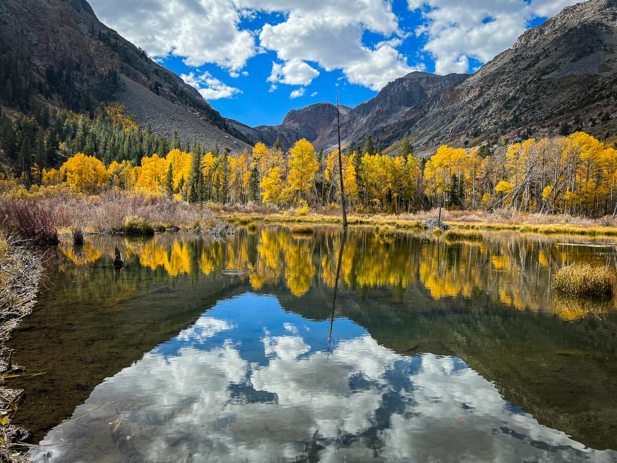 A mirror image of mountains and trees are shown in body of water.