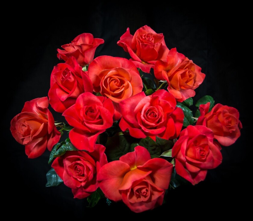 Rose instagram am 100 red i Remodelaholic