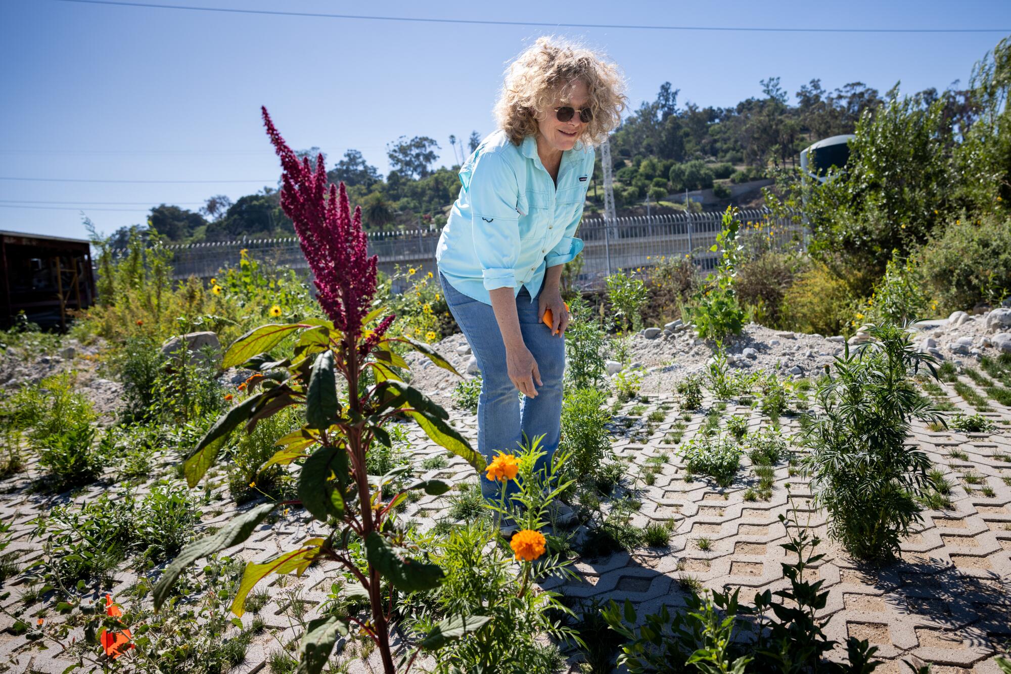 Artist Lauren Bon, in a work shirt and blue jeans, walks through an area where native flowers sprout from hollow bricks.