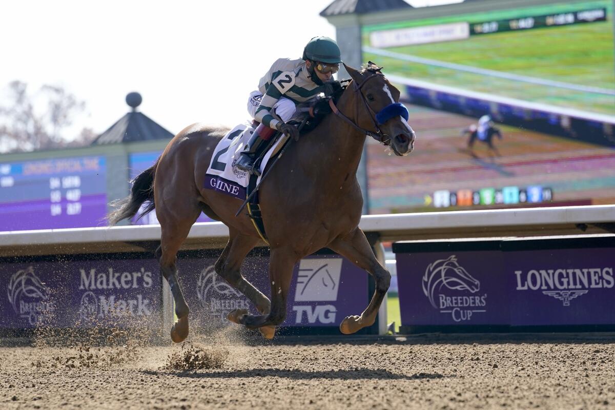 John Velazquez rides Gamine to win the Breeders' Cup Filly and Mare Sprint at Keeneland Race Course.