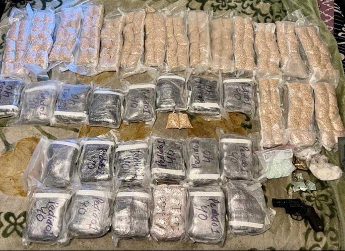 Bags of illegal drugs seized in San Bernardino