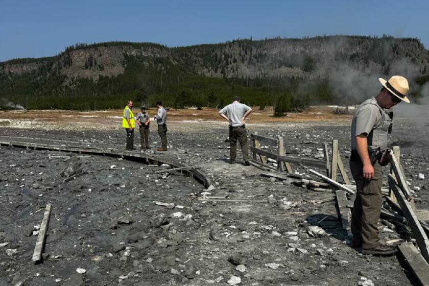 Yellowstone National Park-A violent hydrothermal explosion at Yellowstone National Park sent visitors fleeing Tuesday as mud and debris erupted from a geyser just north of Old Faithful, according to park rangers.Keystone Wildlife, facilitated by Wildlife Restoration Foundation. (National Park Service)