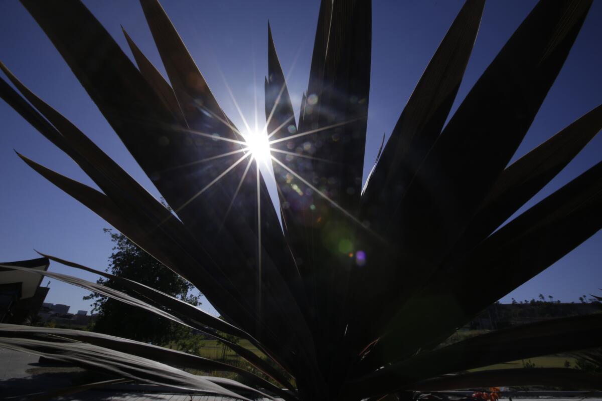 The park is landscaped with native flora.