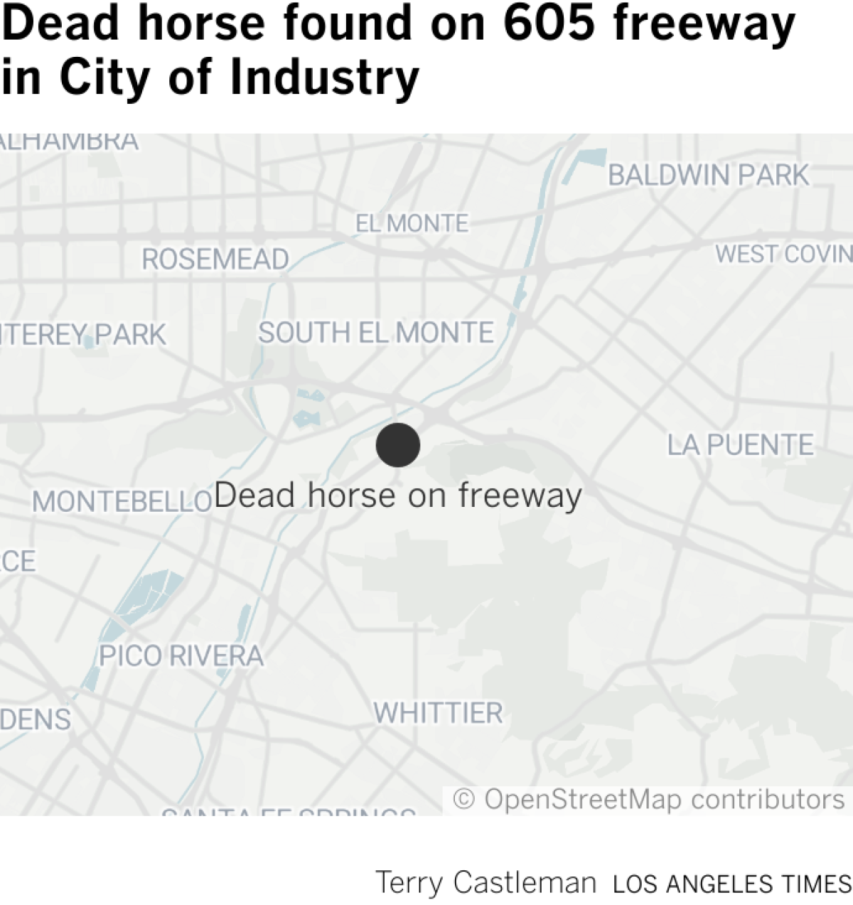 Map showing 605 freeway location where dead horse was found