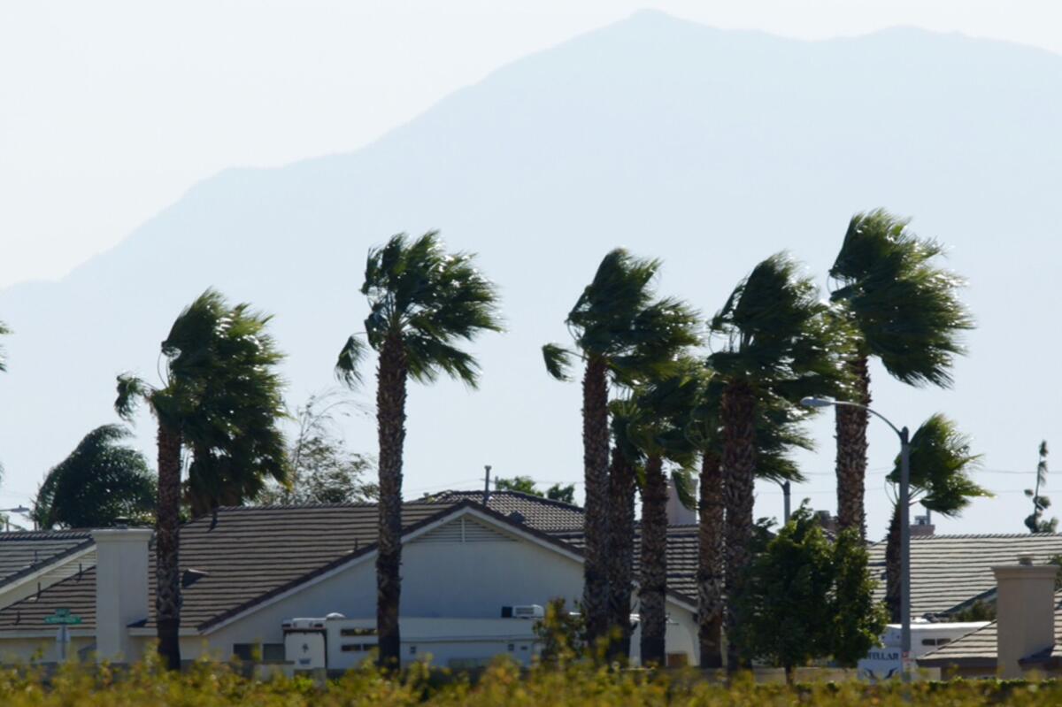 Fronds on palm trees bend from strong winds next to houses in Fontana.