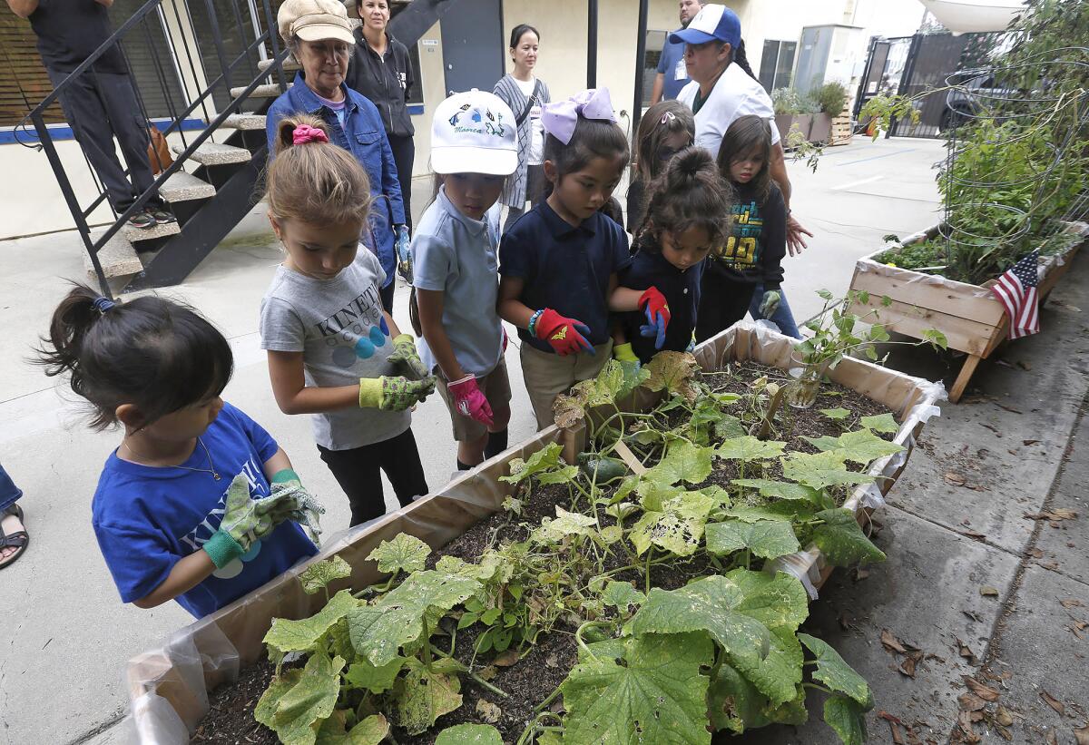 Kids from the Kinetic Academy "Green Team" wait to water a garden box with vegetables on Friday.