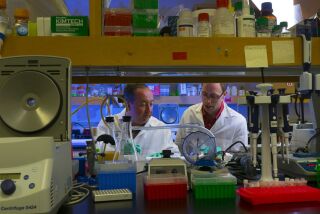 Eric Hesek (left) senior researcher associate and Matt Weinstock, the principle scientist leading the research at Synthetic Genomics Inc in La Jolla discuss some of their recent experiments in their research.