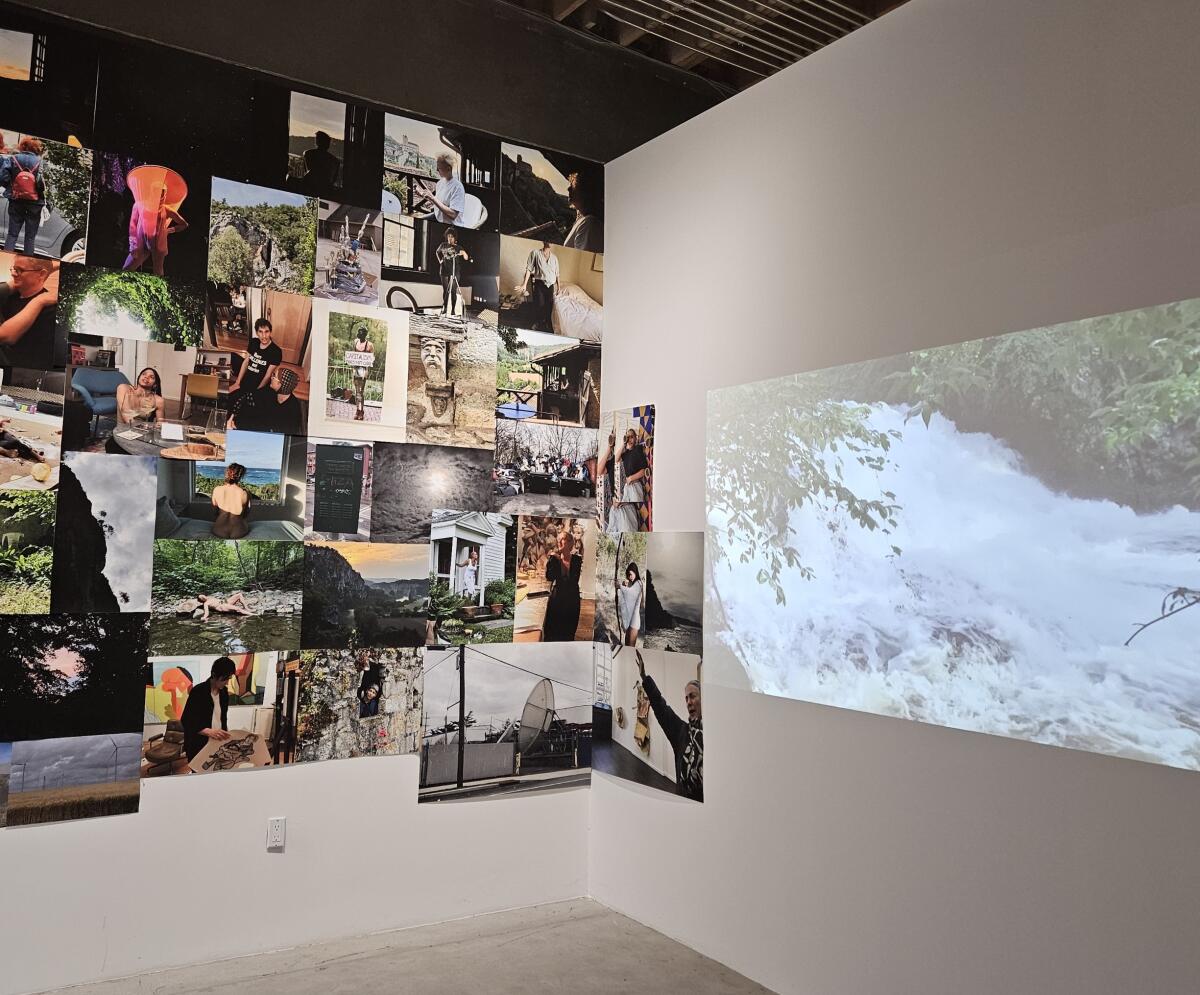 Fluidity describes gender and nature in A.L. Steiner's installation of photographs and video.