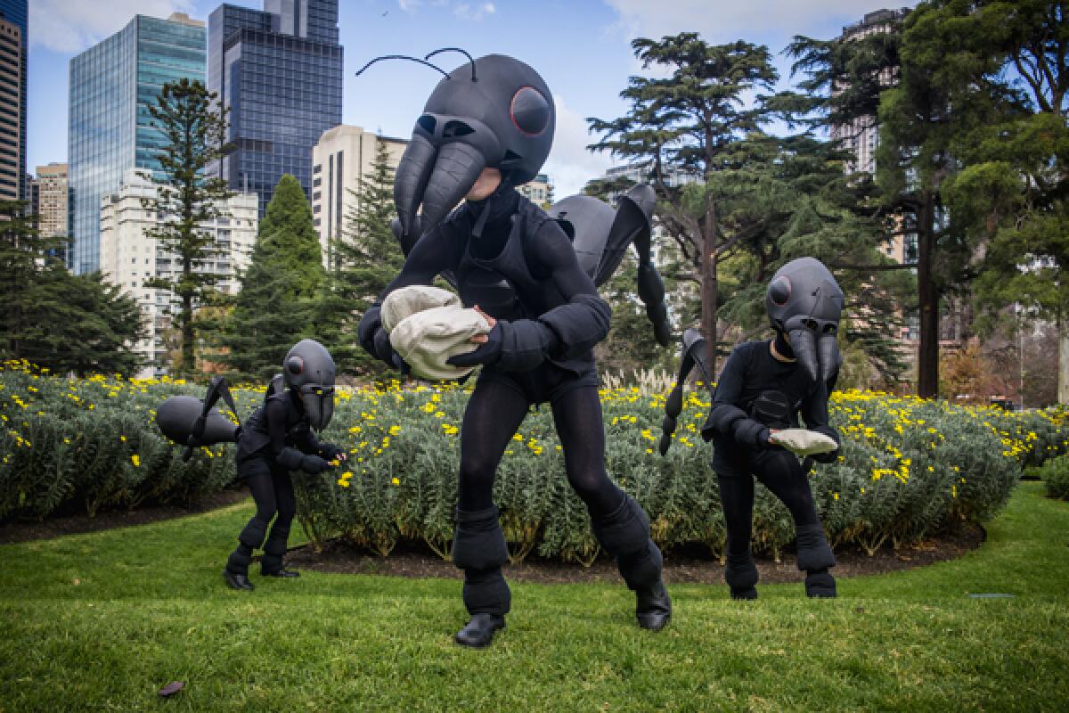 La Jolla Playhouse's 2022 Without Walls Festival will feature the interactive children's show "Ants" from Polyglot Theatre.