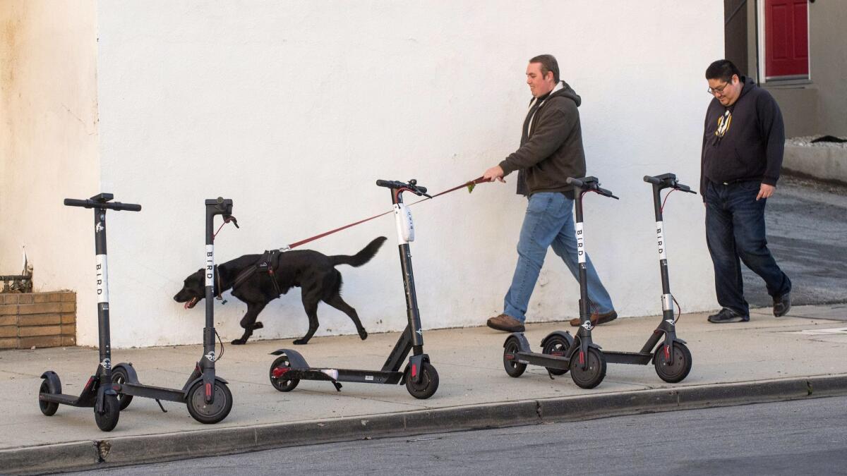 Bird scooters in Altadena. As they spread electric scooters out across dozens of cities, companies like Bird and Lime paid people a piecemeal rate to recharge them and, in Bird’s case, repair them.