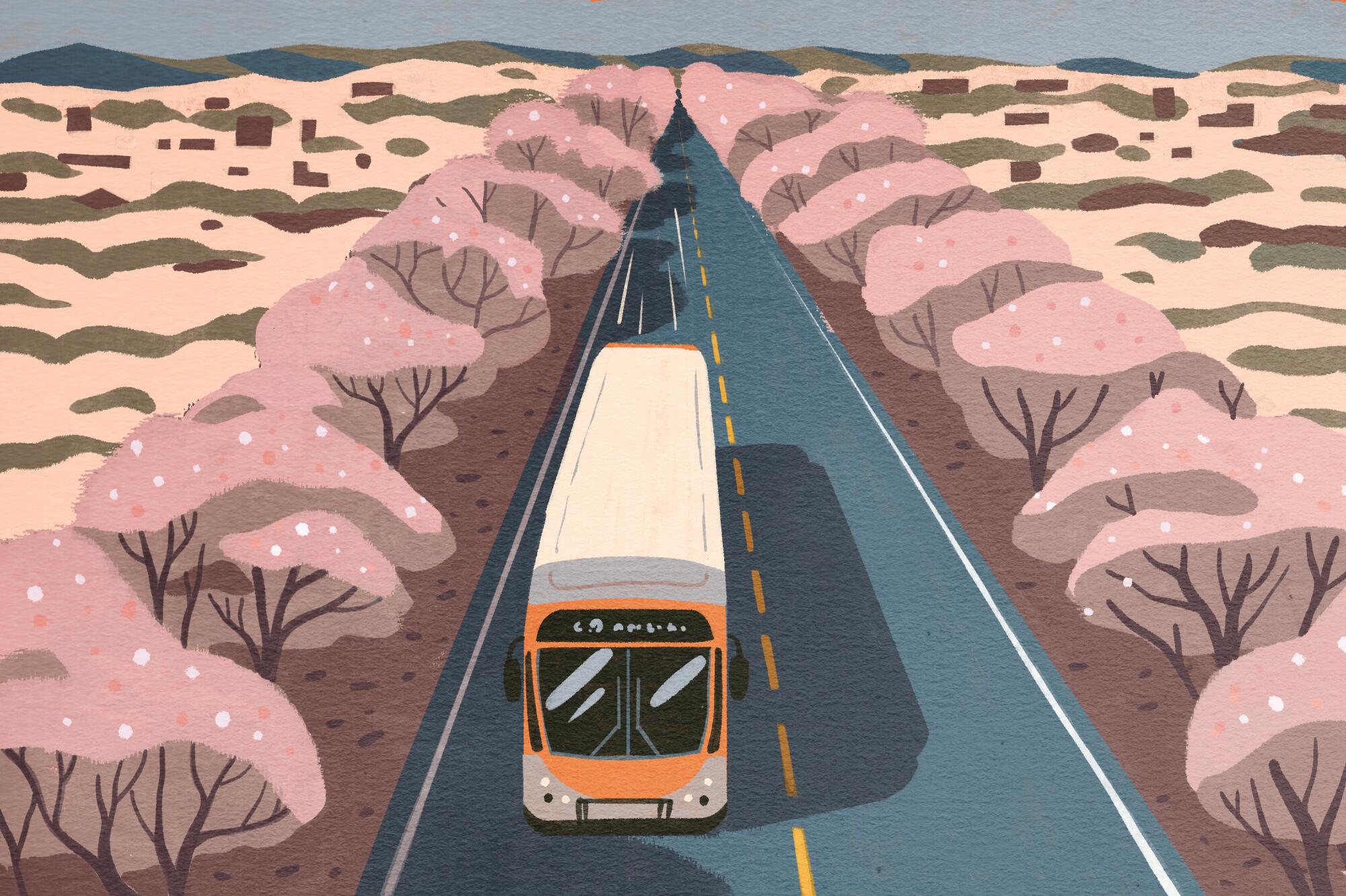 bus de ville circulant dans une rue bordée de magnolias