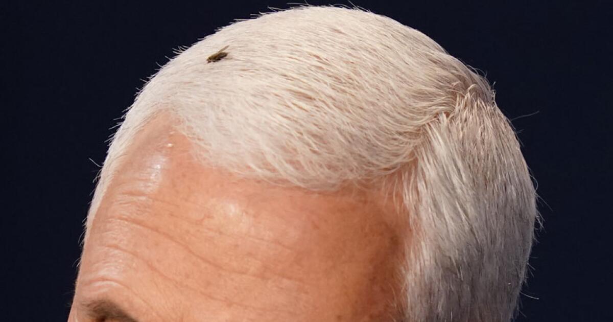 Vice presidential debates have been memorable even if not impactful