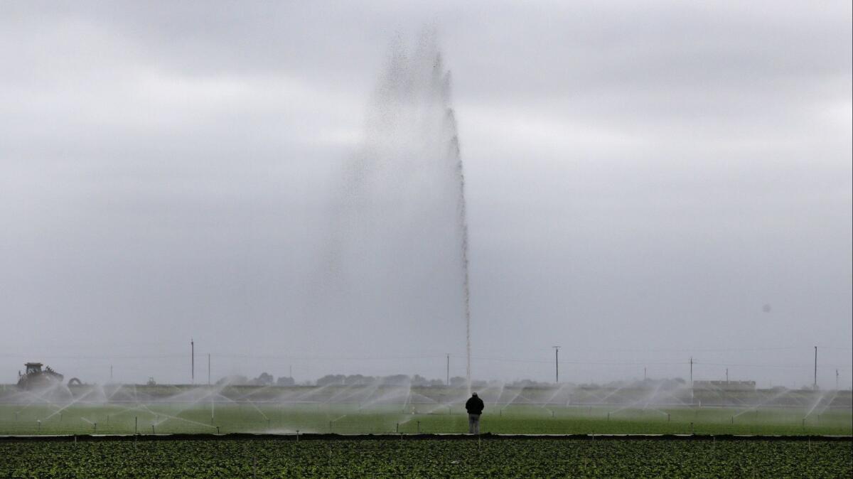 Sprinklers water a field outside Salinas, Calif. on July 27, 2015.