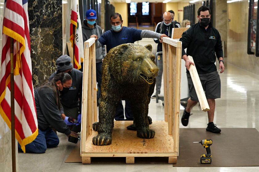 Workers box up the bronze grizzly bear in front of the Governor's Capitol office for relocation to the Governors temporary office in Sacramento, Calif., Friday, Nov. 19, 2021. The sculpture was purchased by former Gov. Arnold Schwarzenegger in 2009 and became a favorite backdrop for photographs and selfies by school children and other visitors to the Capitol. The offices of the Governor, Lt. Governor, and lawmakers, are being moved from the Capitol East Annex to a temporary office building during the construction of the new Capitol Annex. (AP Photo/Rich Pedroncelli, Pool)