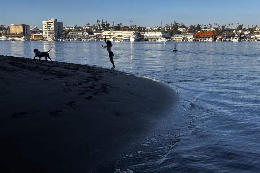 Newport Beach, CA - November 21: A child and her dog play fetch in the water amid pleasant weather in Newport Harbor in Newport Beach Sunday, Nov. 17, 2023. (Allen J. Schaben / Los Angeles Times)