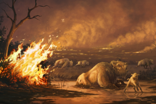 An illustration of ancient bison entrapped in asphalt as wildfires rage during the Pleistocene epoch.