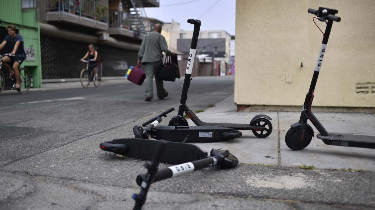 Bird electric scooters discarded near the Venice Beach Boardwalk on July 25.
