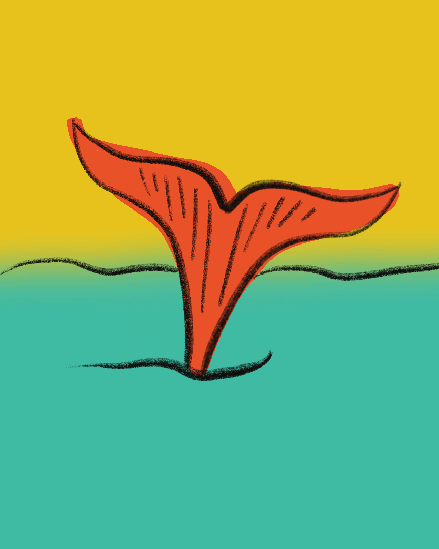 Animated illustration of a whale's tail going into the water.