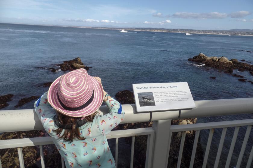 Mike Morris' daughter Ediza using binoculars outside at the Monterey Bay Aquarium.