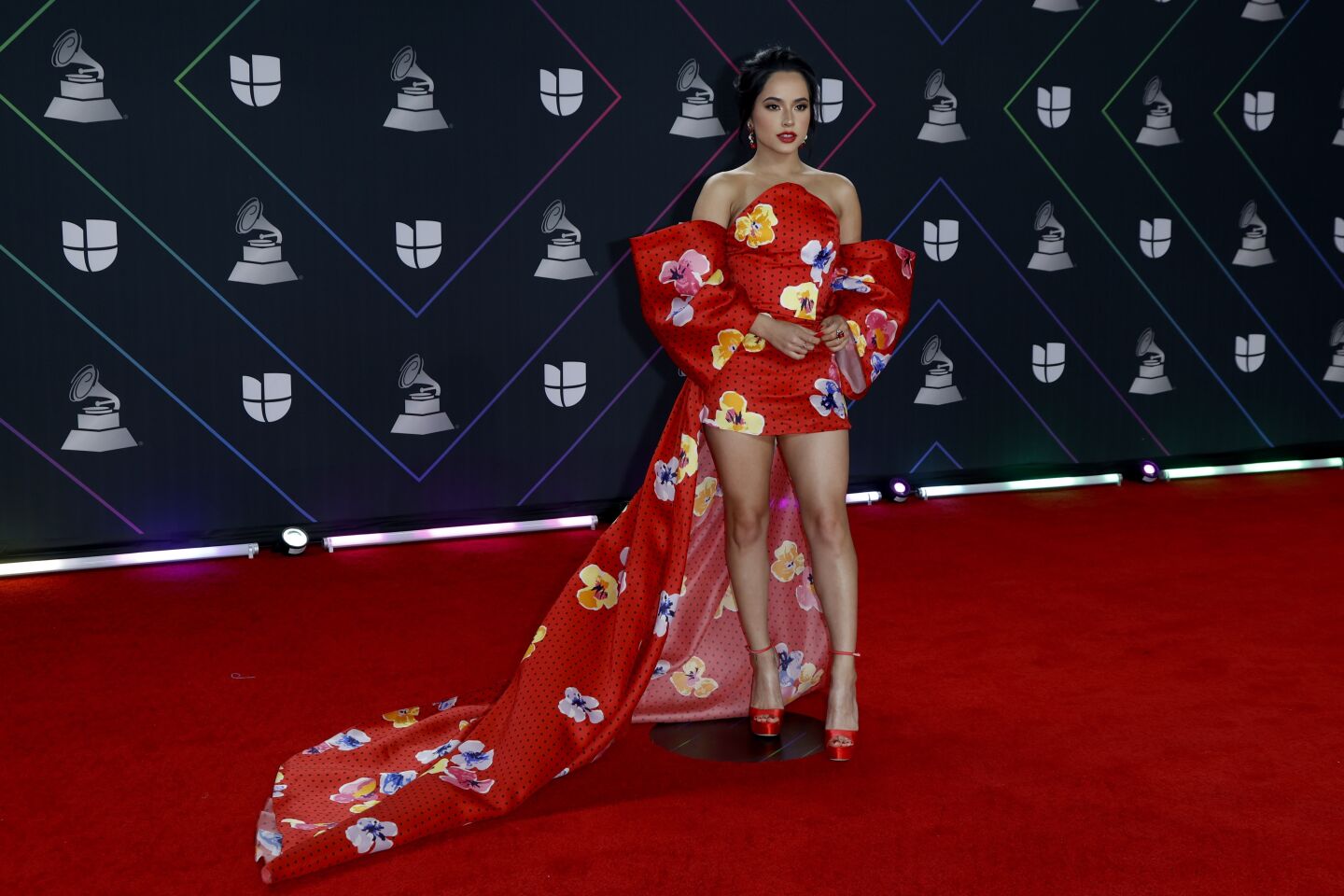 Red Carpet - 22nd Latin Grammy Awards