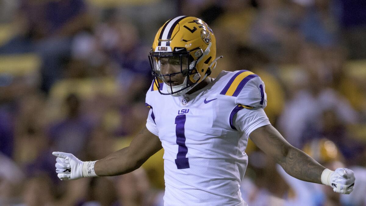 LSU's Eli Ricks opens his arms in celebration during a game
