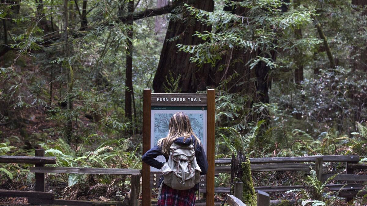 Muir Woods National Monument in Mill Valley, Calif., is the latest park to close because of the partial government shutdown. It will suspend services Monday.