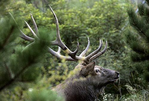 Estes Park, Colo.