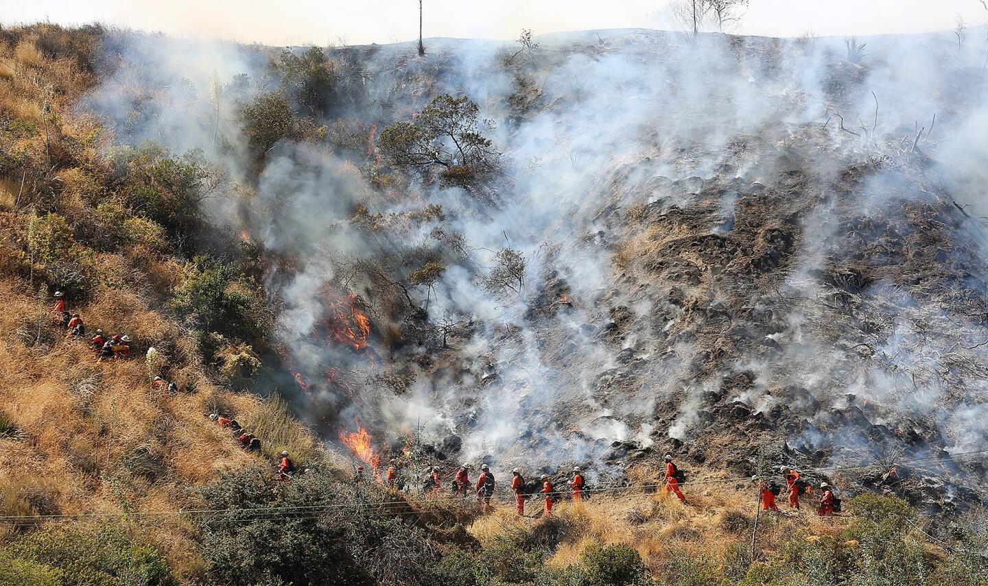 A fire crew cuts a fire line at the scene of a brush fire in the foothills above Hamline Place in Burbank on Wednesday, June 28, 2017. A third alarm was called to an address on Hamline, and Los Angeles County Fire, and the Los Angeles Fire Department helicopter attack crews dropped basket after basket of water onto the windblown flames. Few structures were threatened.