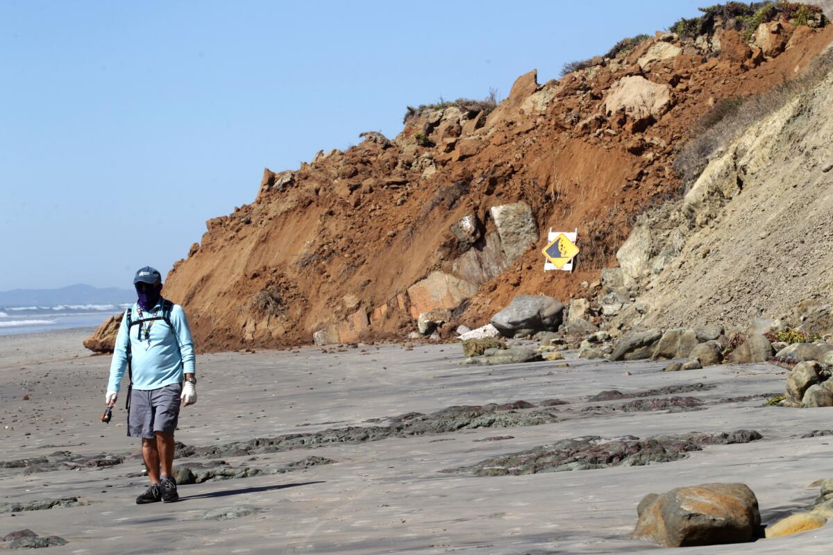 La Jolla Town Council coastal forum airs concerns about sea lions, bluffs  and Gliderport - La Jolla Light