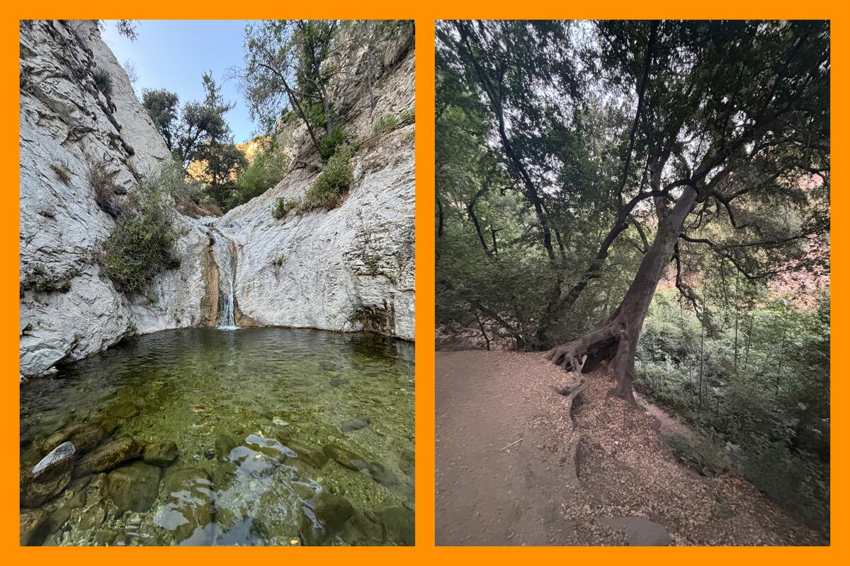 Two photos: A waterfall splits between two white-rock mountains, left; a tree leans off the side of a dirt path, right.