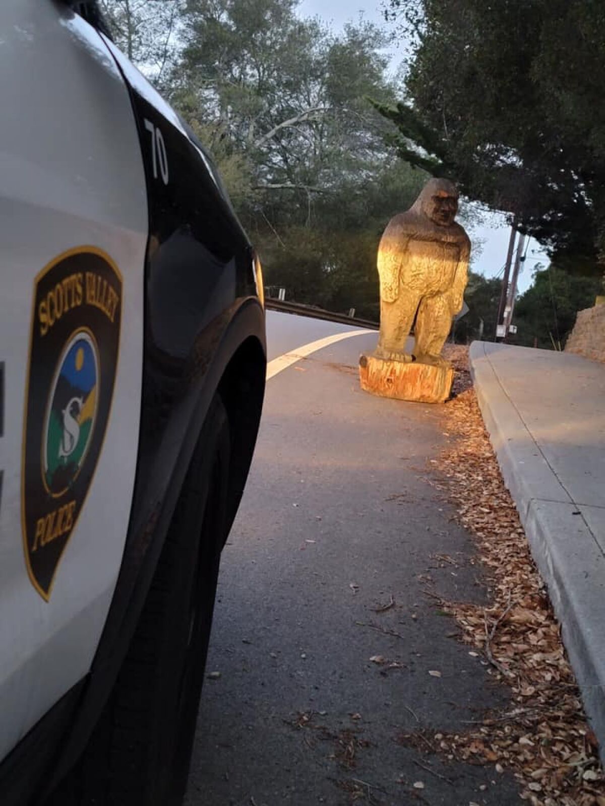 Officers with the Scotts Valley Police Department spotted "Danny" the sasquatch Thursday morning.