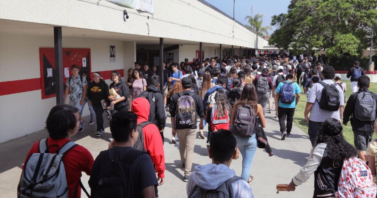 Students are seen from the back walking on campus.