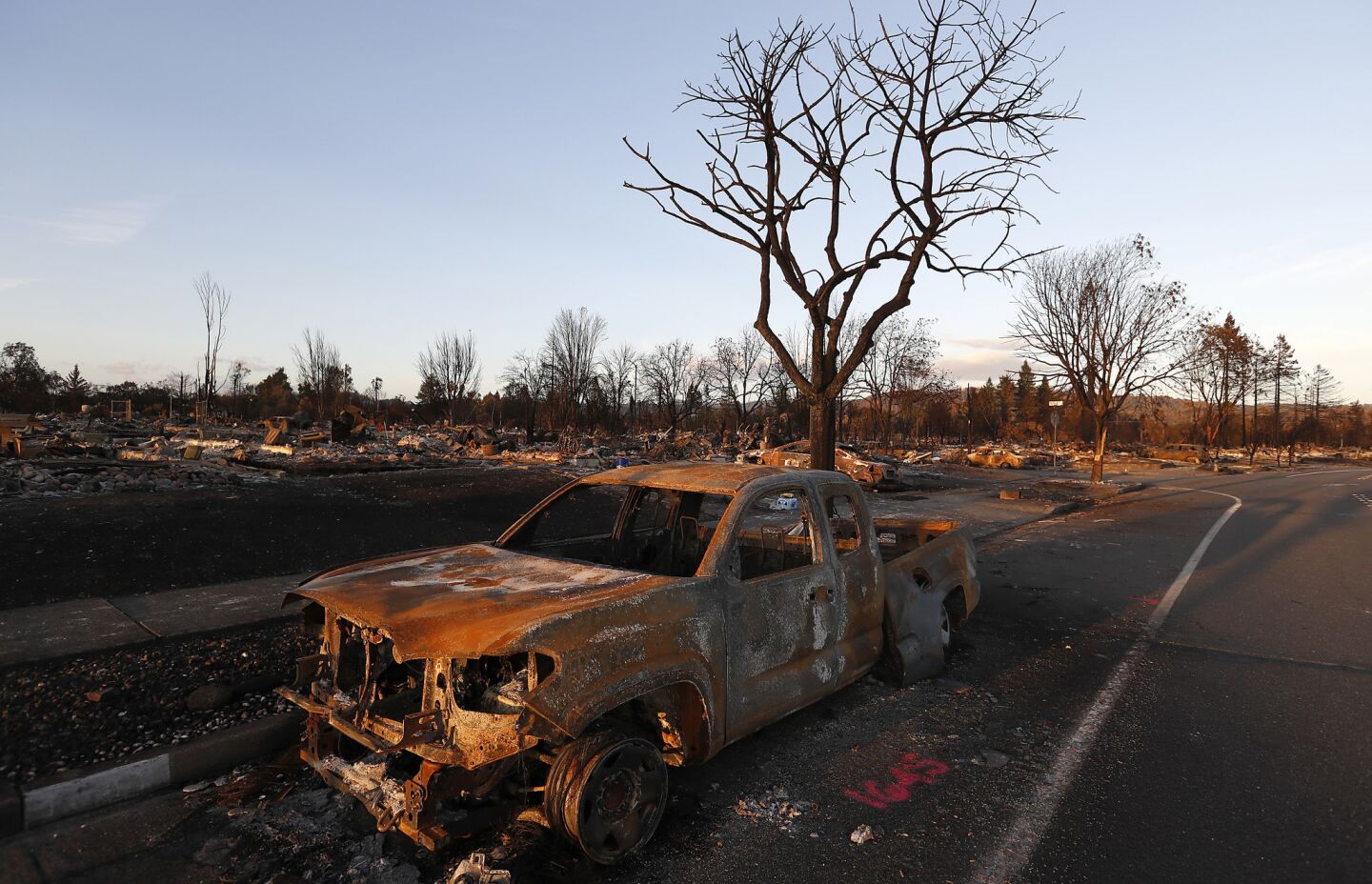 Burned vehicles litter the landscape in Coffey Park. The neighborhood was completely destroyed by the Tubbs fire 11 days ago, with many residents fleeing in haste as their homes were enveloped in flames.