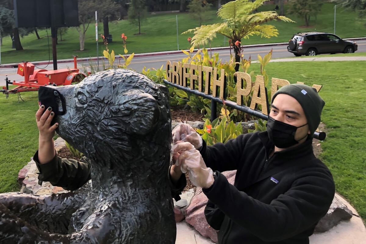 A young couple affixed a mask on the face of a bear statue at the Fern Dell entrance to Griffith Park. The couple, who declined to give their names, shot a few photos, removed the mask and left.