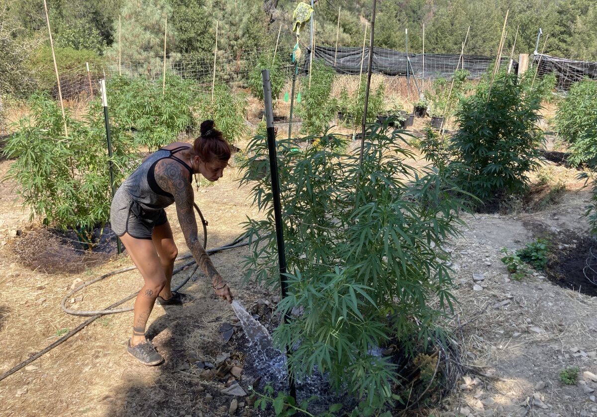 A woman waters plants outside