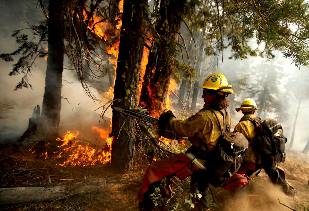 Firefighters clear away combustible material at the head of the Dixie fire near Janesville, Calif., on Aug. 20.