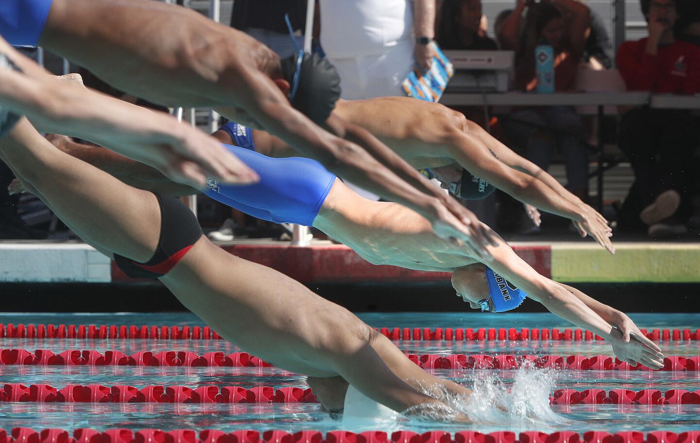 Photo Gallery: Dual Pacific League swim meet between Burroughs and Burbank