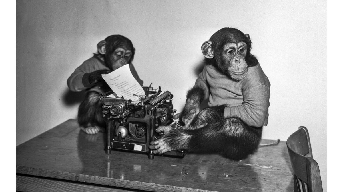 Jan. 18, 1936: Chimpanzees Ditto, left, and Shorty play with a typewriter. Other photos from this shoot were published Feb. 2, 1936, in the Los Angeles Times.