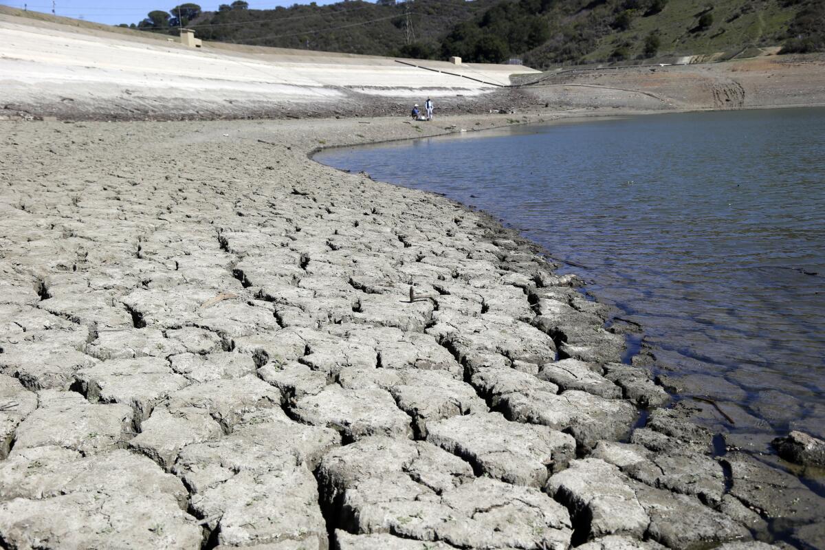 Water supplies are dwindling for much of California's farmland, and some crops will be more sensitive to the shortage than others.