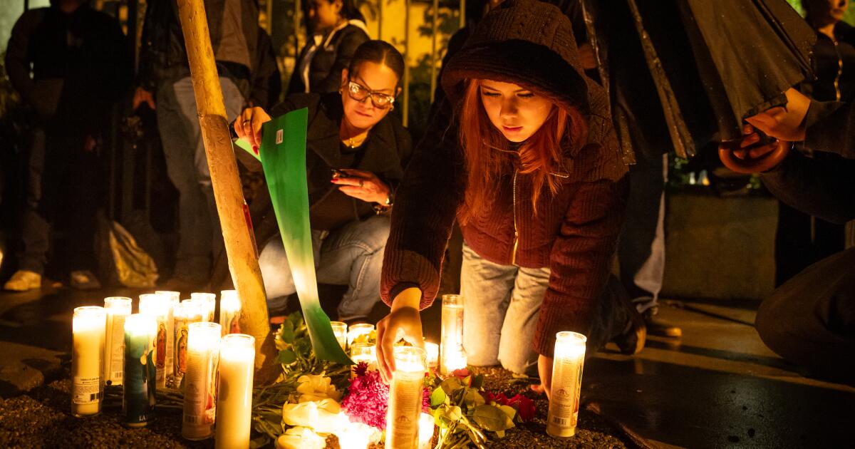 ICE-agent die een man uit Los Angeles vermoordde die in gerechtelijke documenten werd beschuldigd van kindermisbruik en racisme ICE-agent die een man uit Los Angeles vermoordde die in gerechtelijke documenten werd beschuldigd van kindermisbruik en racisme